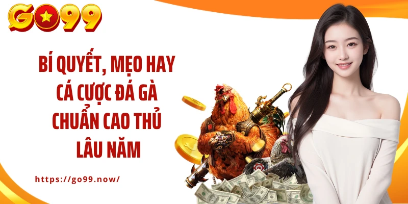 Đá Gà GO99 - Cá Cược Đấu Kê Nảy Lửa Với Phần Thưởng Lớn - goplus