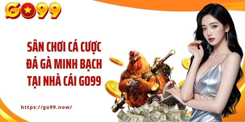 Đá Gà GO99 - Cá Cược Đấu Kê Nảy Lửa Với Phần Thưởng Lớn - goplus
